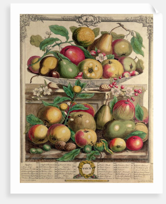 March by Pieter Casteels (after)