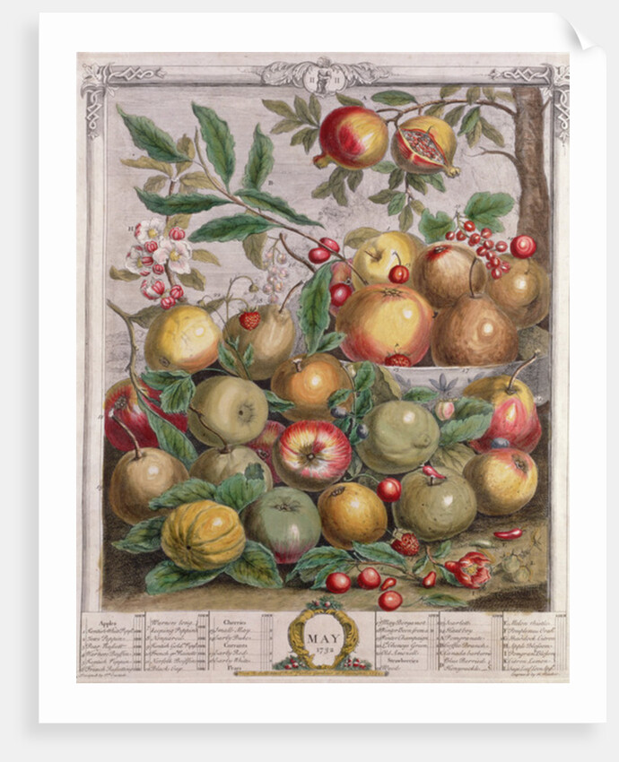 May by Pieter Casteels