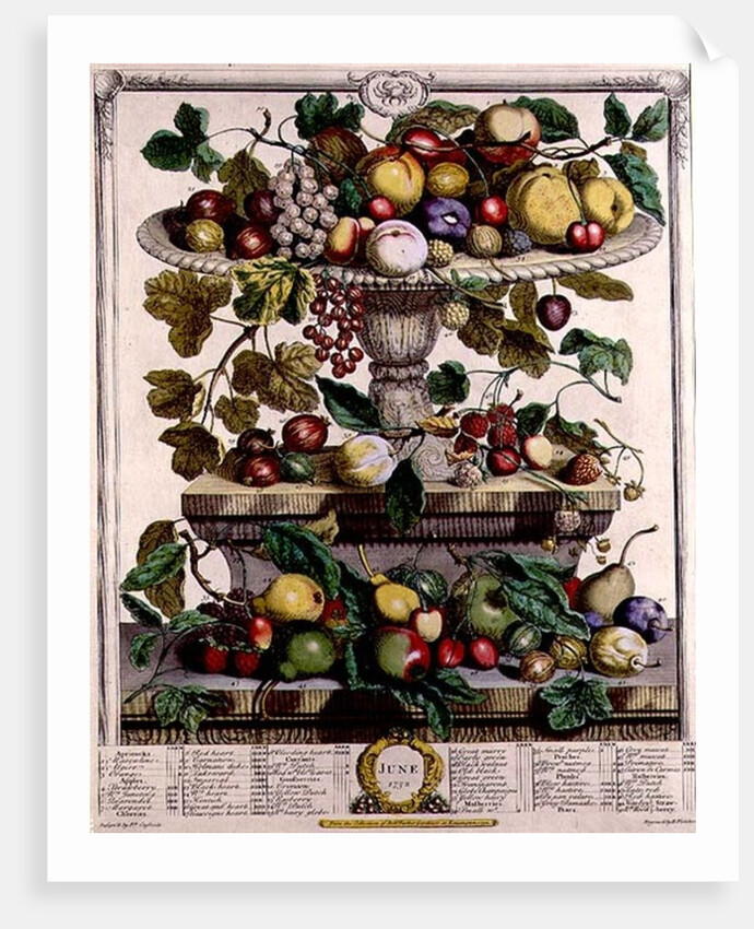 June by Pieter Casteels (after)