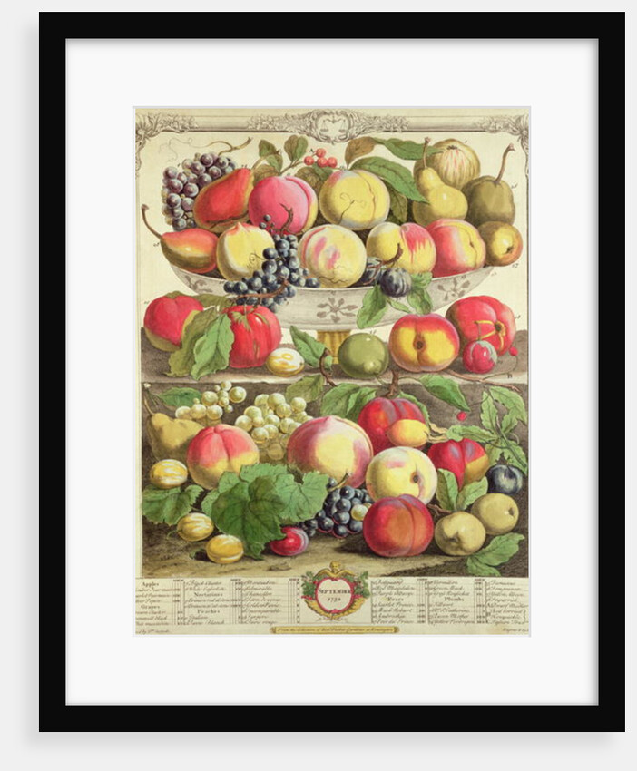September by Pieter Casteels (after)