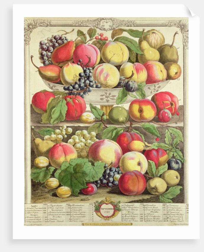 September by Pieter Casteels (after)