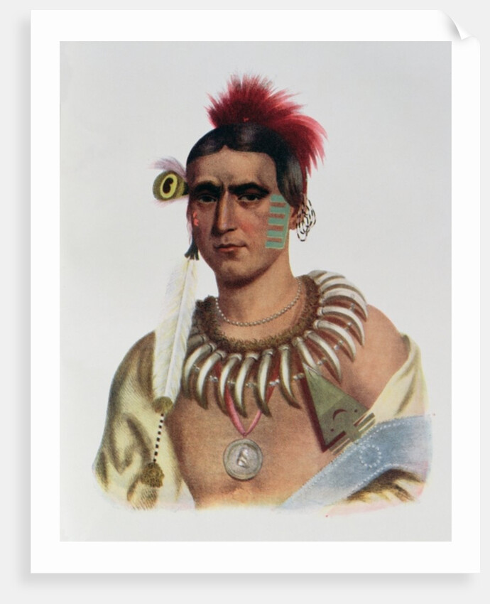 Ma-Has-Kah or 'White Cloud', an Iowa Chief by American School