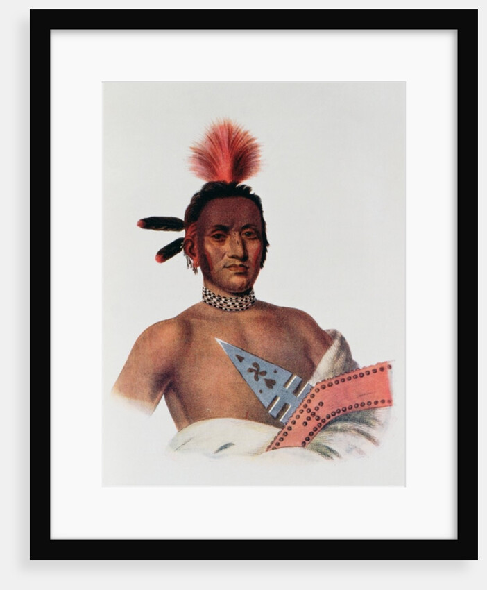 Moa-Na-Hon-Ga or 'Great Walker', an Iowa Chief, 1824 by Charles Bird King