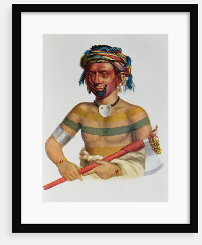 Shau-Hau-Napo-Tinia, an Iowa Chief, 1837 by Charles Bird King