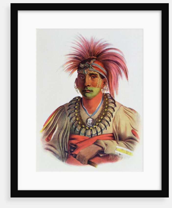 Nowaykesugga, an Otto by Charles Bird King