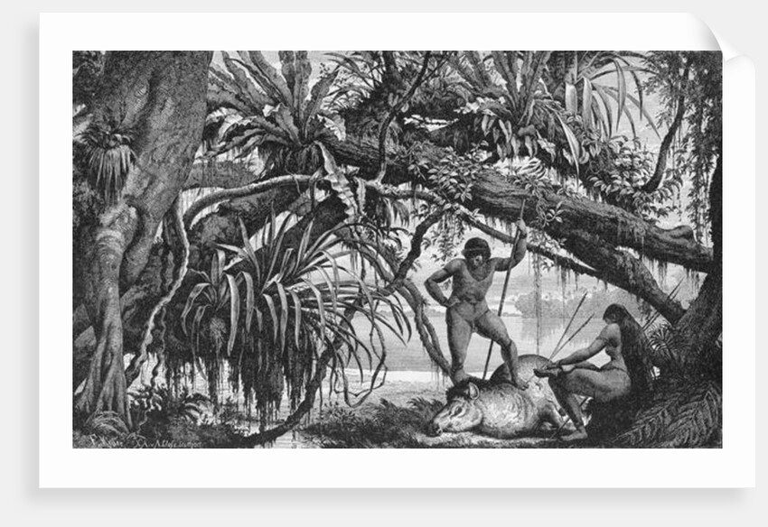 Caripuna Indians with tapir by American School