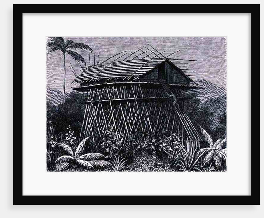 House in the Arfak village of Memiwa, New Guinea by French School