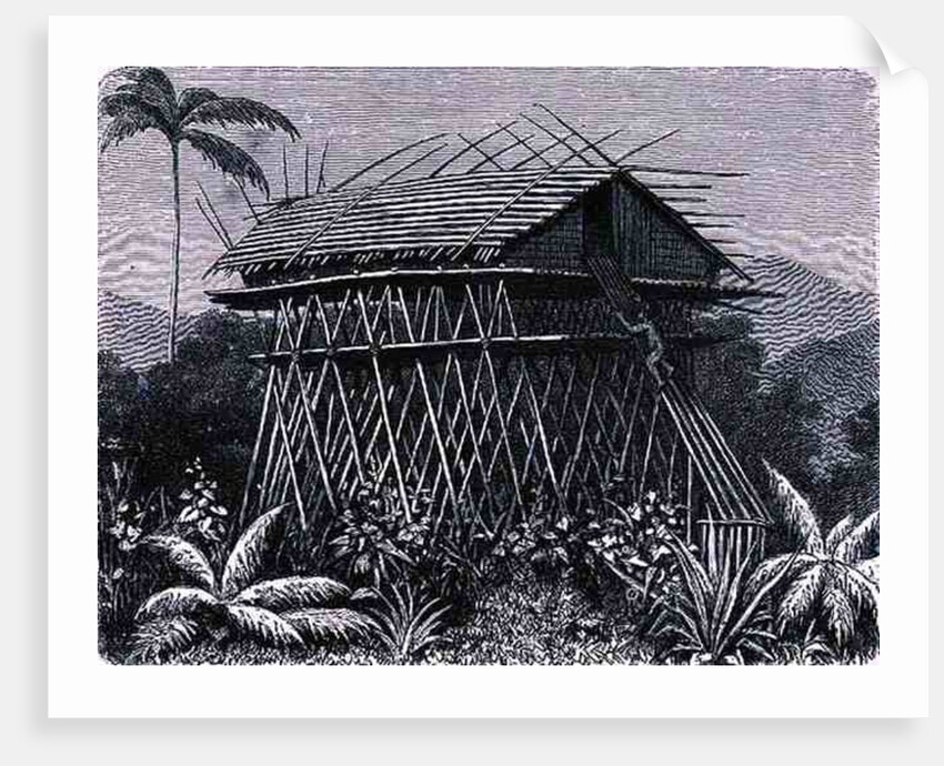 House in the Arfak village of Memiwa, New Guinea by French School