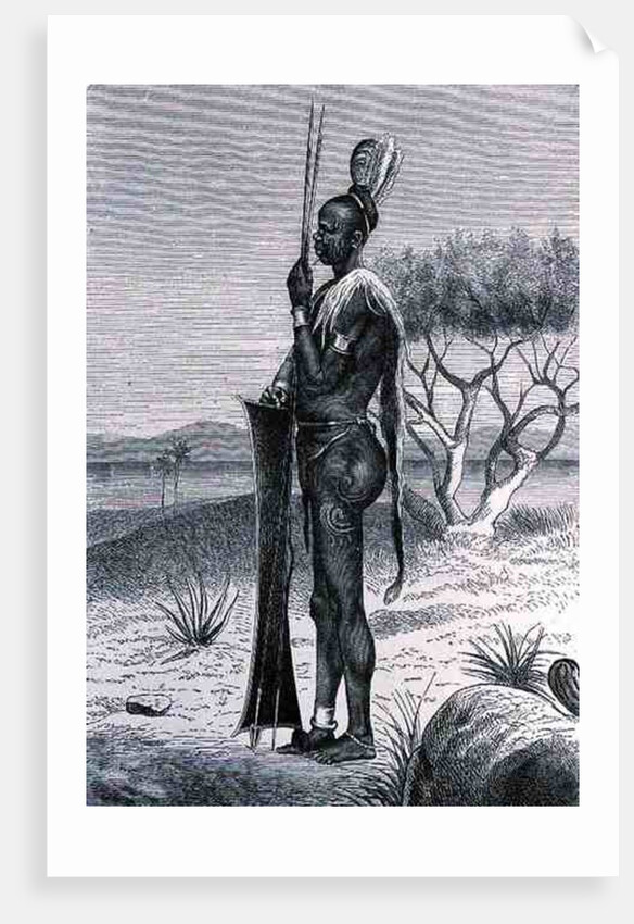 A tattooed Shuli negro with his weapons by Richard Buchta