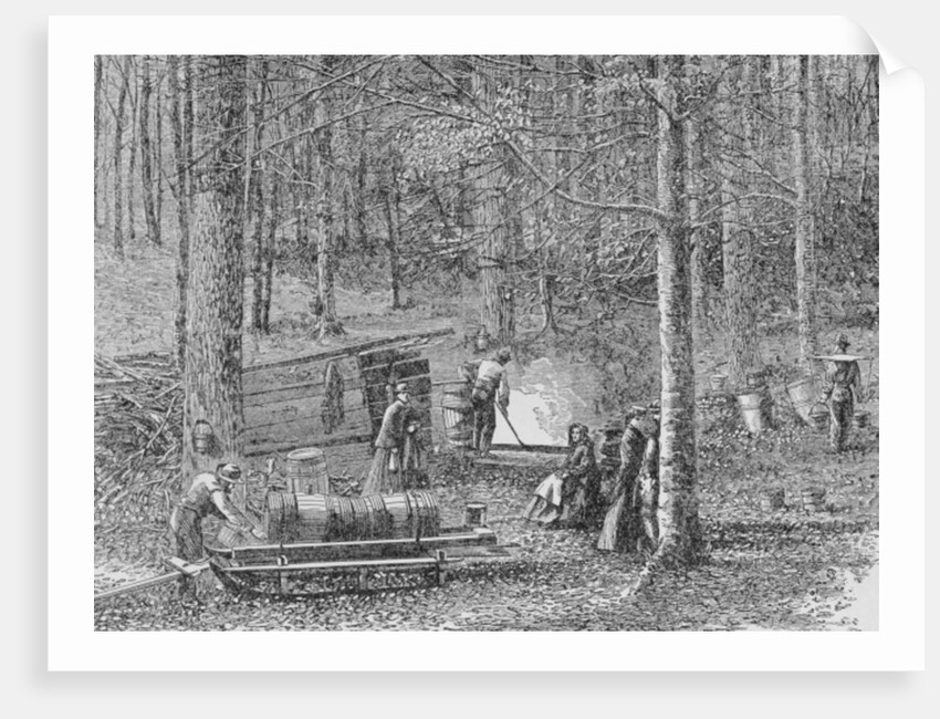 At the Maple Syrup Camp by (after) American School