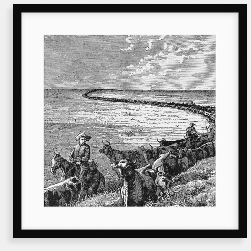 A Trail in the Great Plains by American School