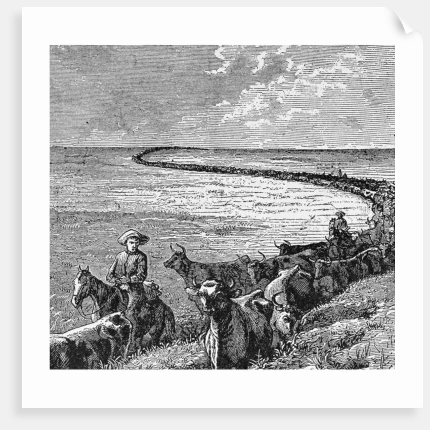 A Trail in the Great Plains by American School