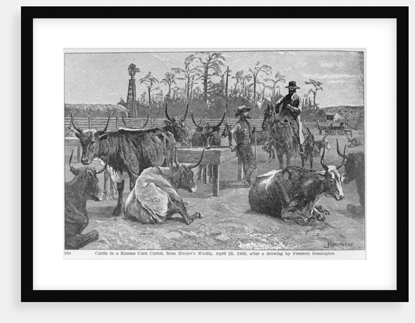 Cattle in a Kansas Corn Corral by Frederic Remington