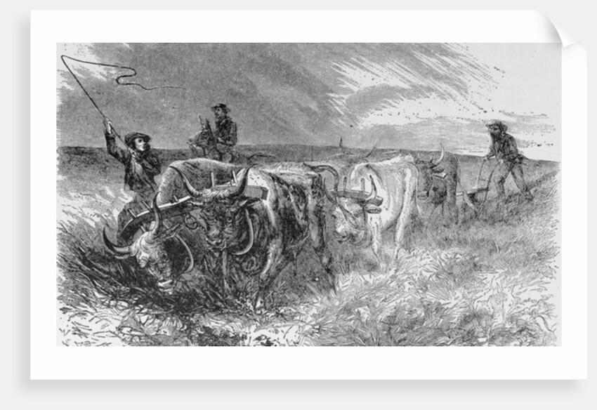 The Prairie Sod Plow by (after) American School