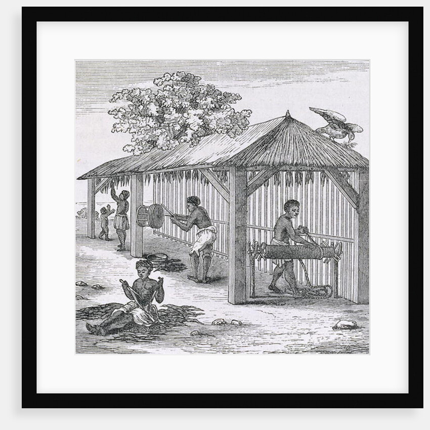 Preparing Tobacco by English School