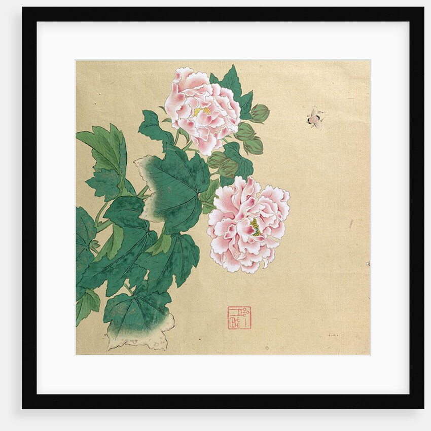 Bee and peony by Ichimiosai by Anonymous