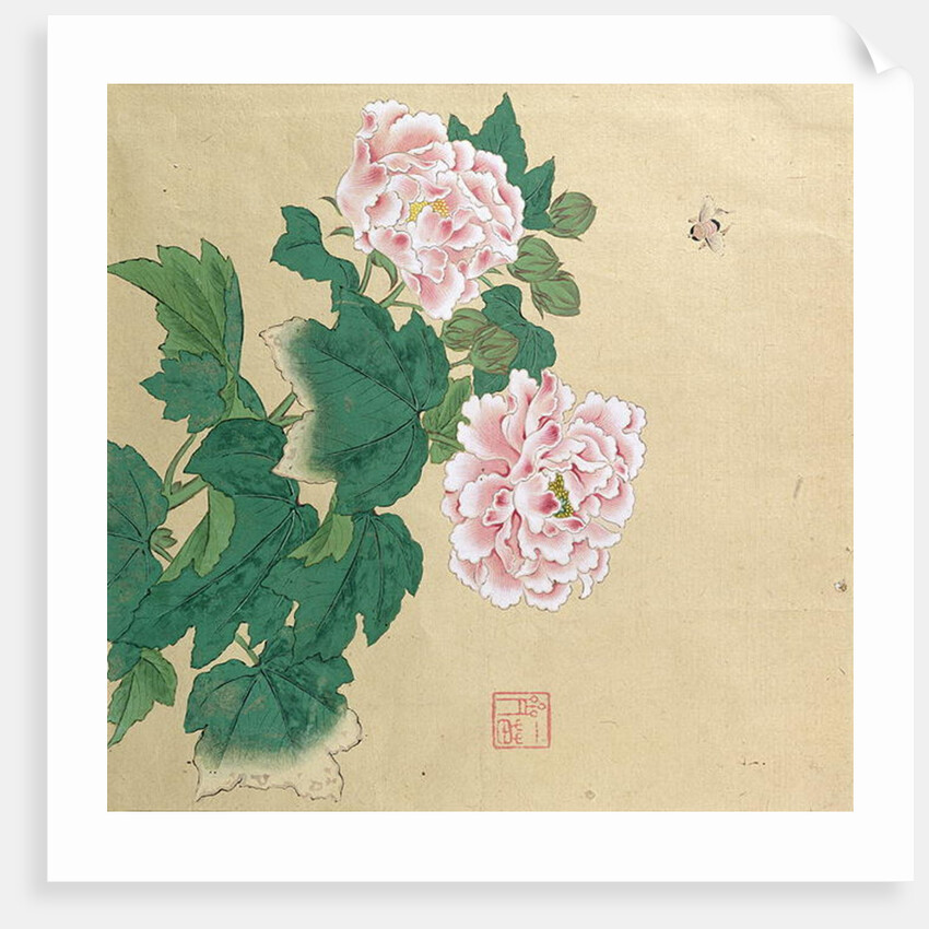 Bee and peony by Ichimiosai by Anonymous