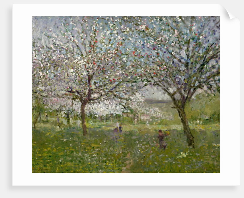 Apple Trees in Flower by Ernest Quost