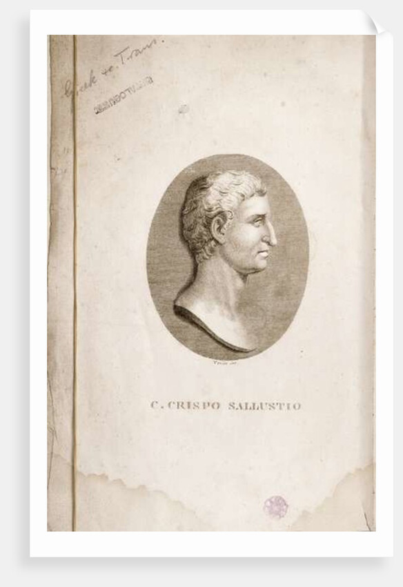 Portrait of Gaius Crispus Sallust engraved by Antonio Verico by Italian School