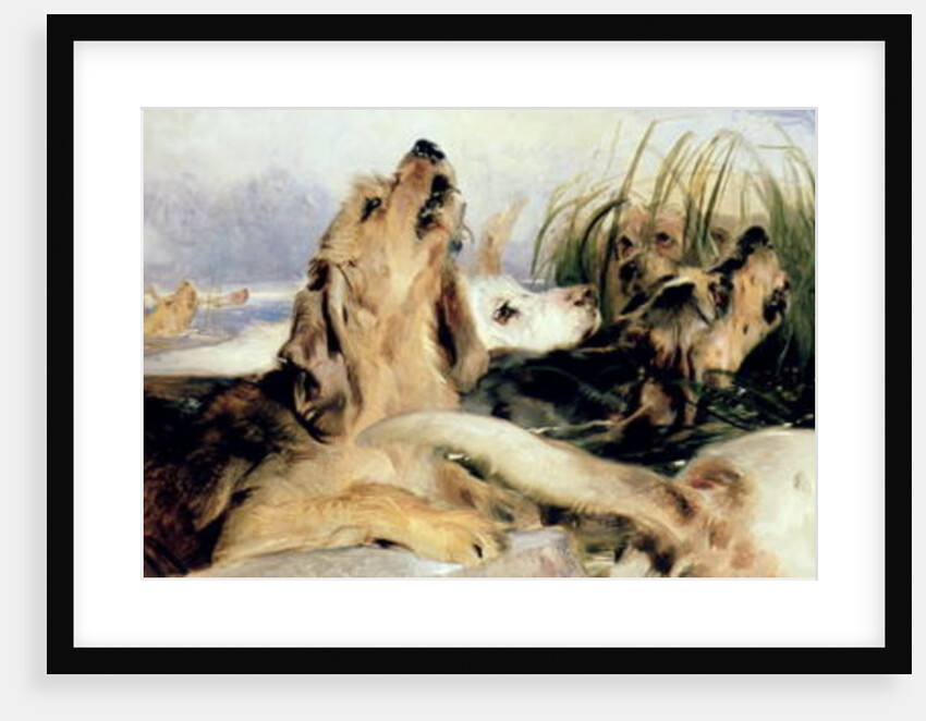 Otter Hounds by Edwin Landseer