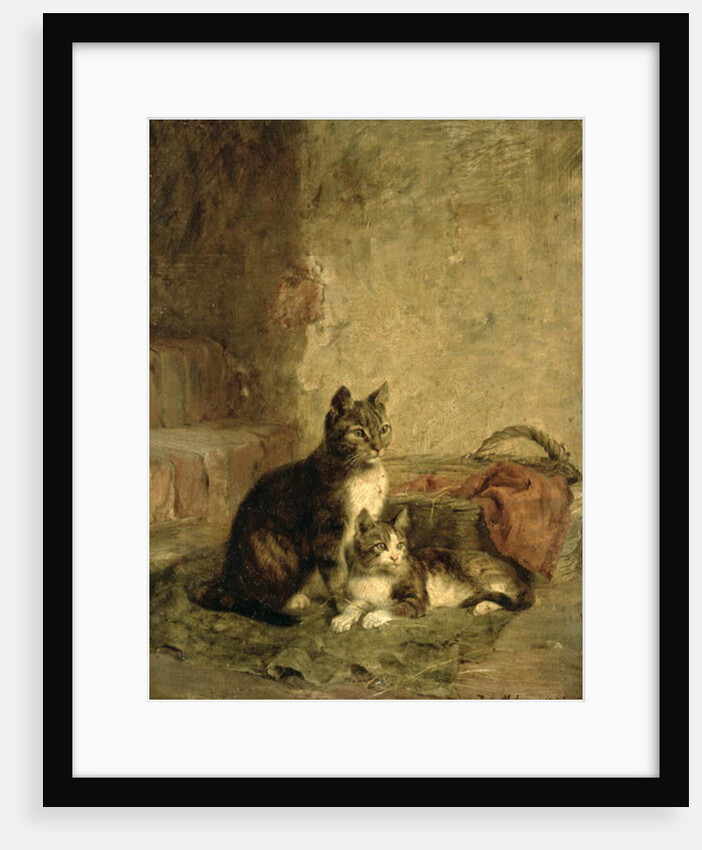 Cats, 1883 by Julius Adam