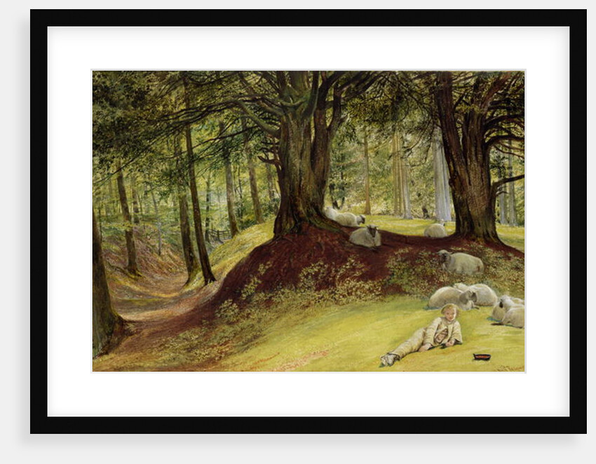 Parkhurst Woods, Abinger, Surrey by Richard Redgrave