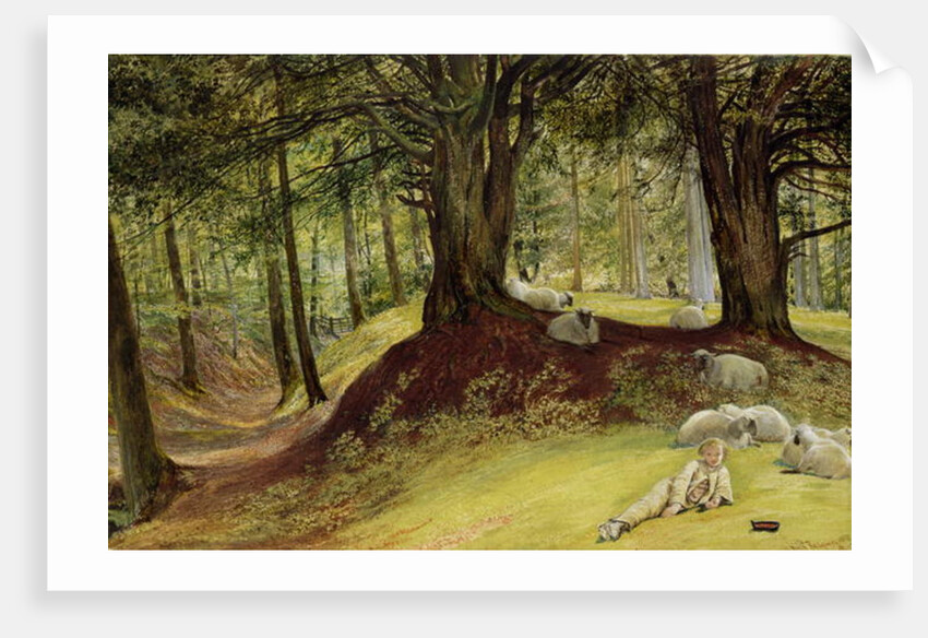 Parkhurst Woods, Abinger, Surrey by Richard Redgrave