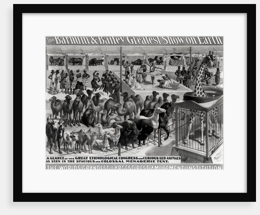 Poster advertising, 'The Barnum and Bailey Greatest Show on Earth, the World's Grandest, Largest, Best Amusement Institution', c.1895 by American School