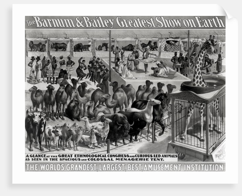 Poster advertising, 'The Barnum and Bailey Greatest Show on Earth, the World's Grandest, Largest, Best Amusement Institution', c.1895 by American School