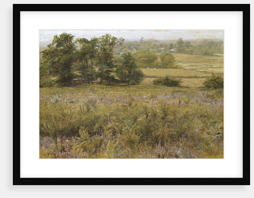 The Furze Field, 19th century by Samuel Palmer