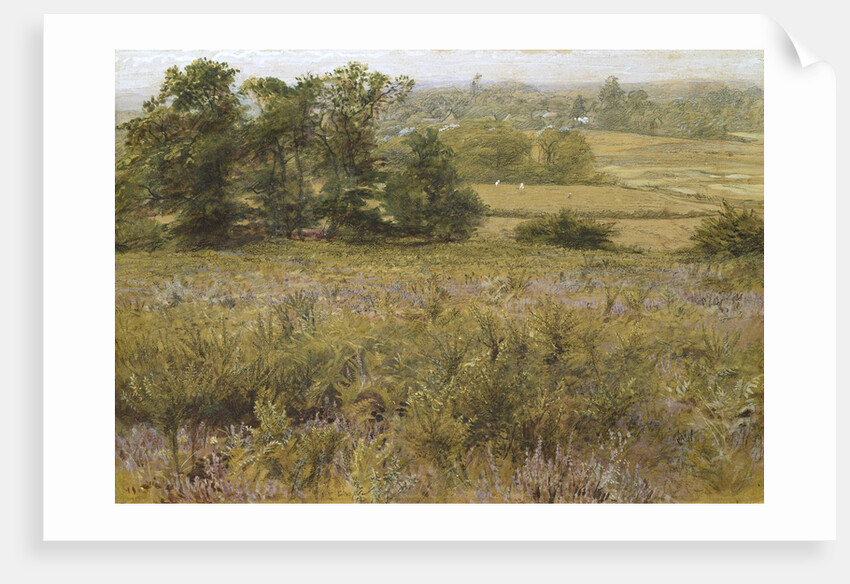 The Furze Field, 19th century by Samuel Palmer