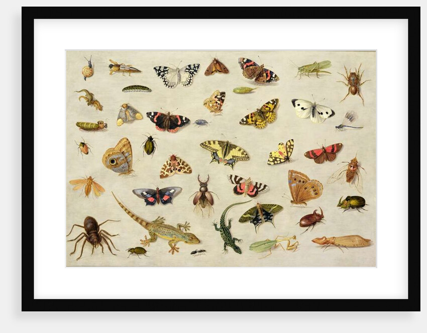 A Study of Insects by Jan van the Elder Kessel