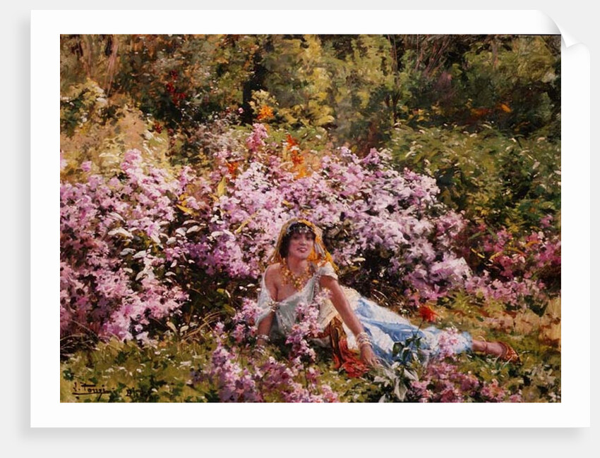 Algerian beauty in a lilac field by Leon Louis Tanzi