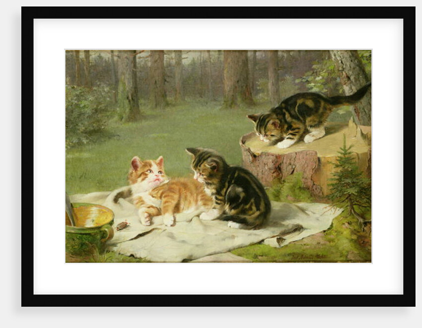Kittens Playing by Ewald Honnef