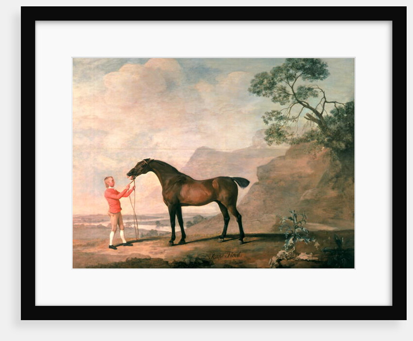 Scapeflood by George Stubbs