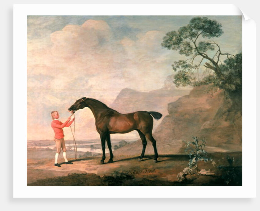 Scapeflood by George Stubbs
