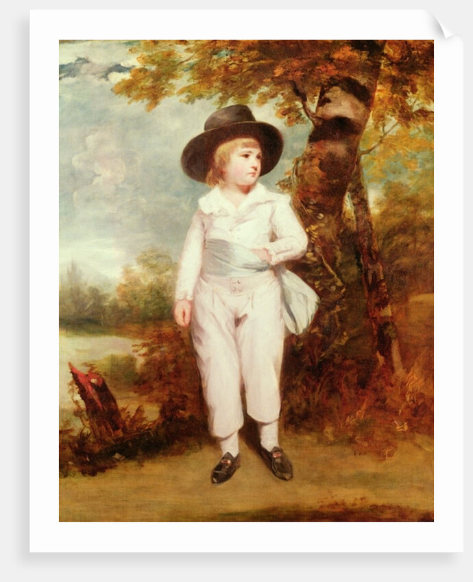 John Charles Spencer, Viscount Althorp, 1786 by Joshua Reynolds