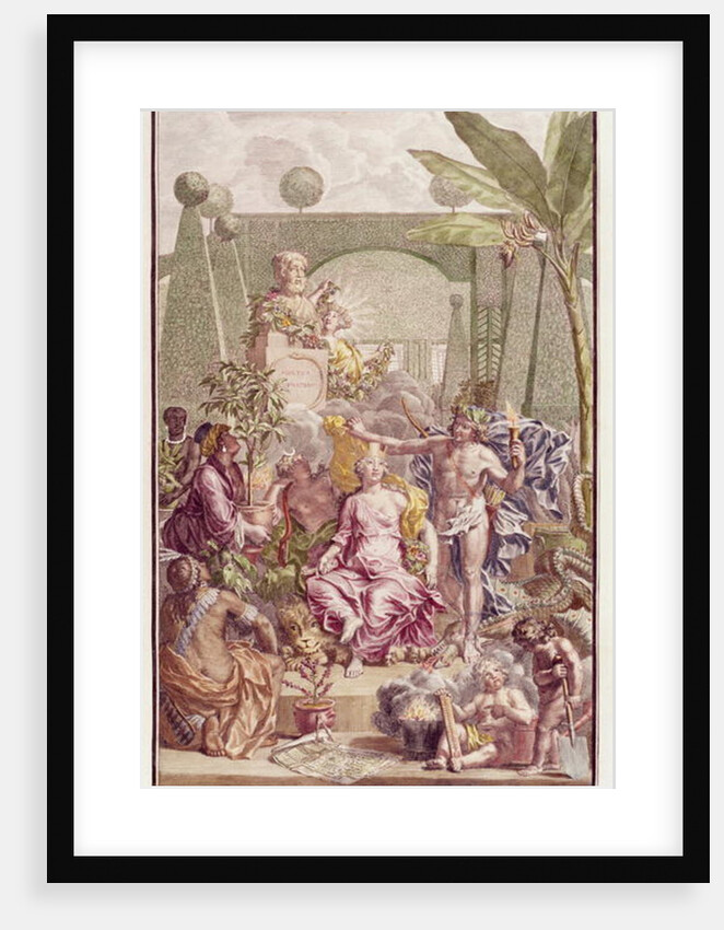 Frontispiece of 'Hortus Cliffortianus' by Carl Linnaeus by Jan Wandelaar