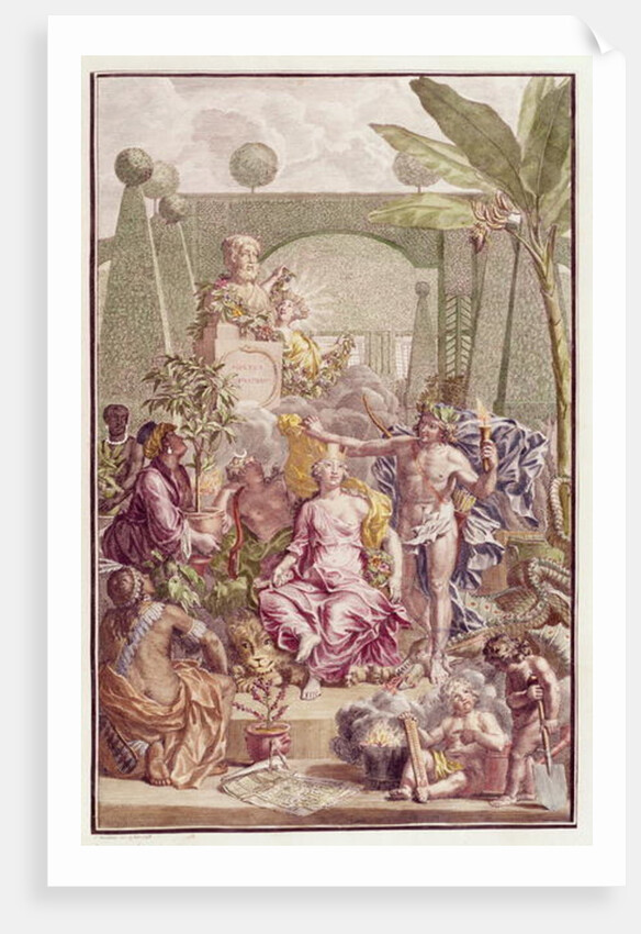 Frontispiece of 'Hortus Cliffortianus' by Carl Linnaeus by Jan Wandelaar