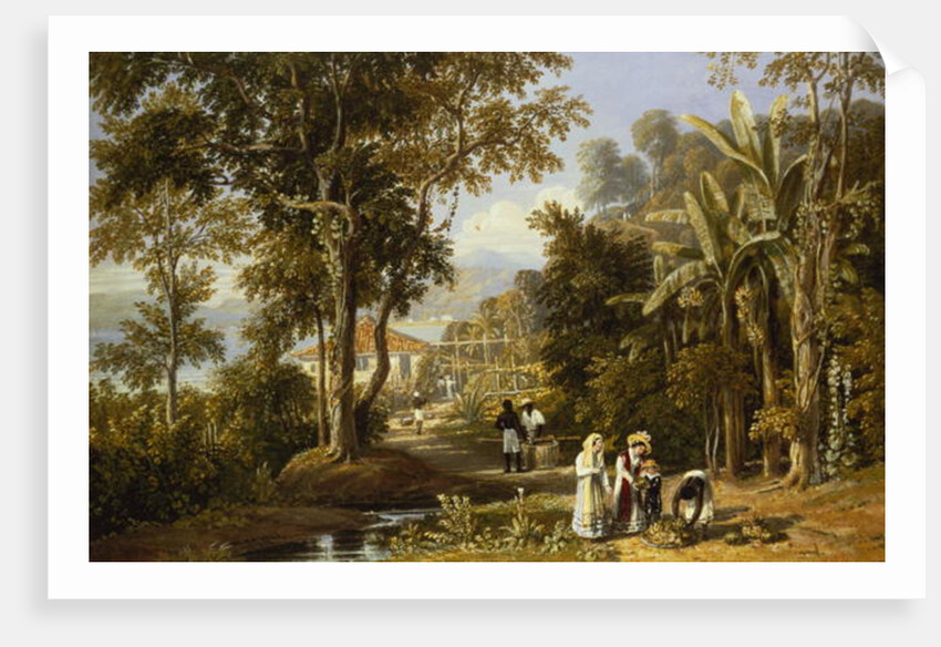 Garden Scene on the Braganza Shore, Rio de Janeiro, 1827 by William Havell