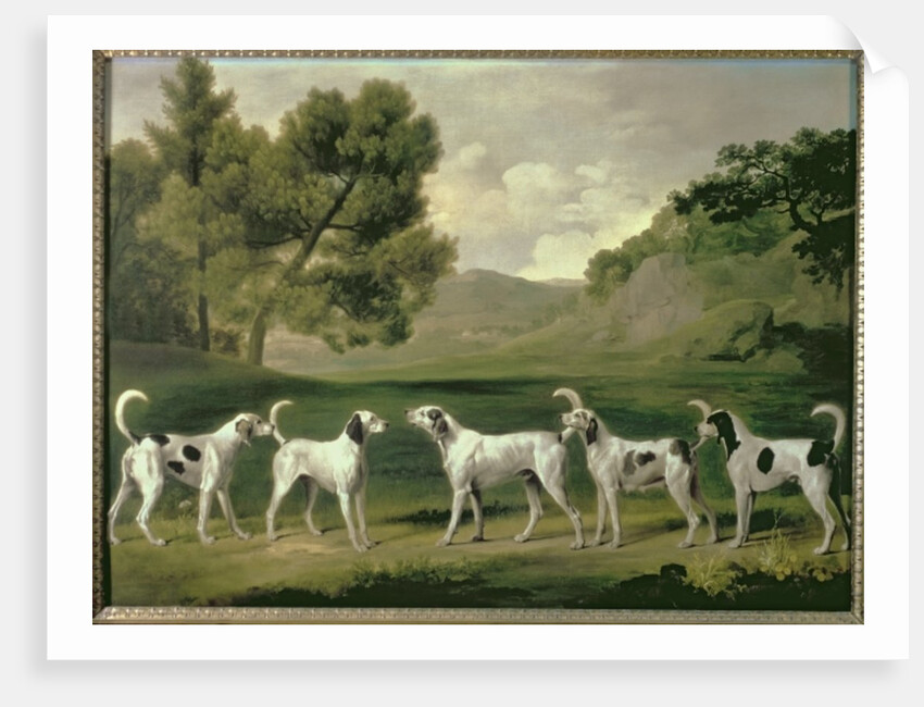 Foxhounds in a landscape, 1762 by George Stubbs