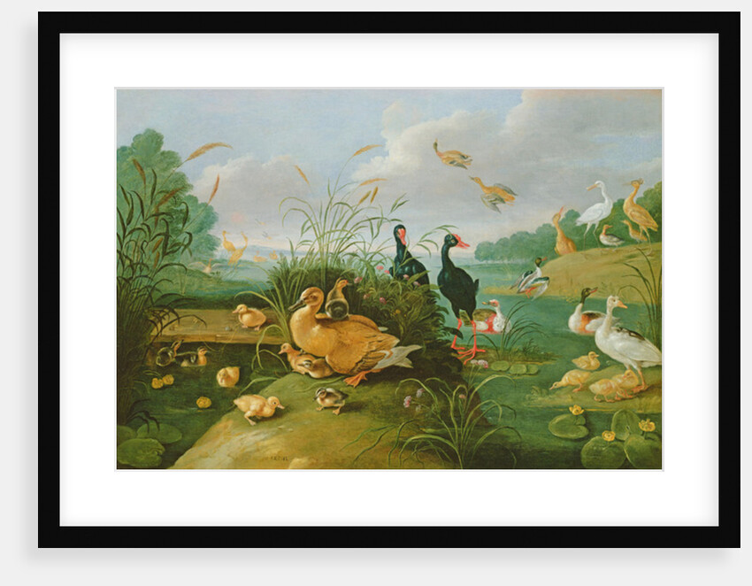 Decorative fowl and ducklings by Jan van the Elder Kessel