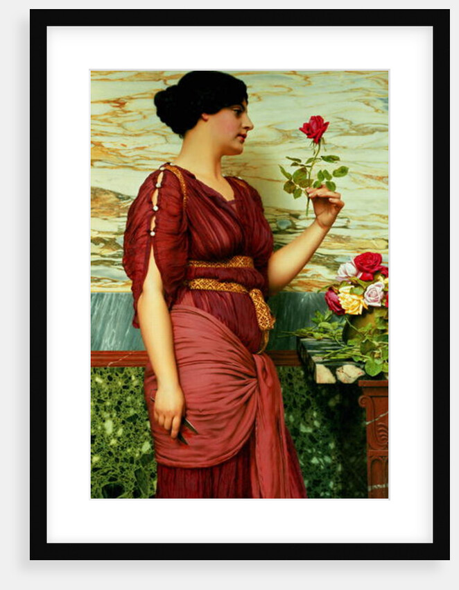 A Red, Red Rose, 1920 by John William Godward