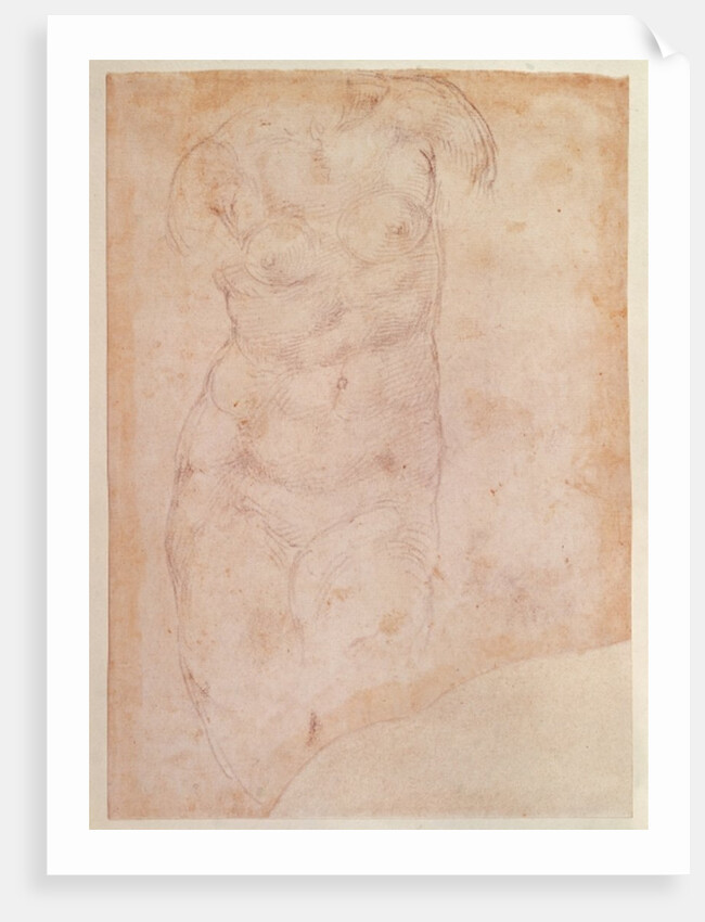 Study of a Female Nude by Michelangelo Buonarroti