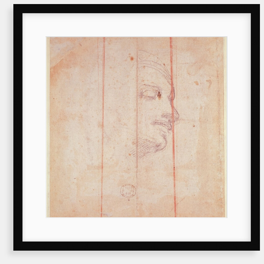 Study for the Head of the Libyan Sibyl by Michelangelo Buonarroti