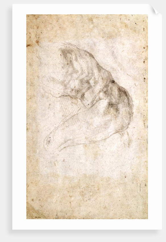 Study for The Creation of Adam by Michelangelo Buonarroti