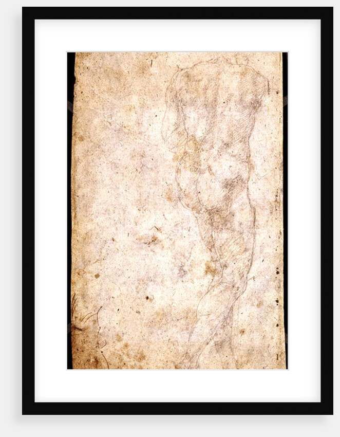 Study of a Male Nude by Michelangelo Buonarroti