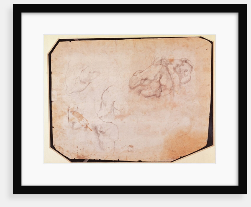 Study of Muscles by Michelangelo Buonarroti