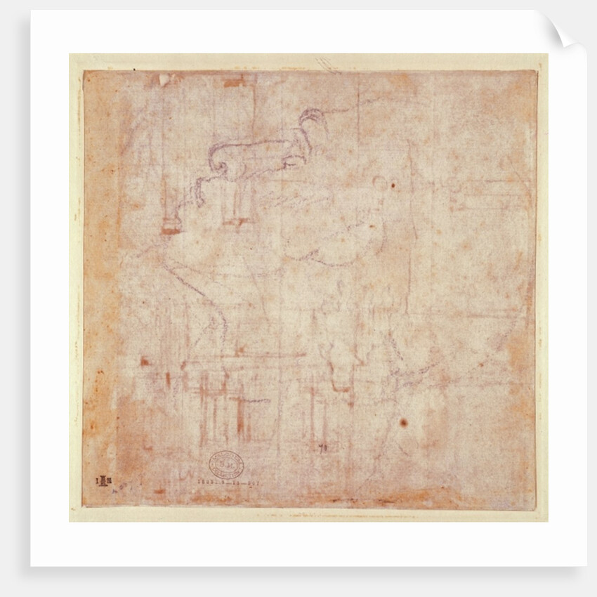 Study of a Head, 1525-26 by Michelangelo Buonarroti