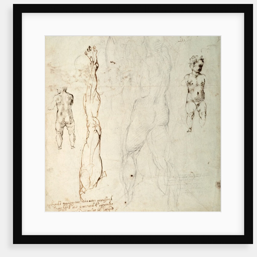 Study of the Christ Child and an Anatomical Drawing with Notes by Michelangelo Buonarroti